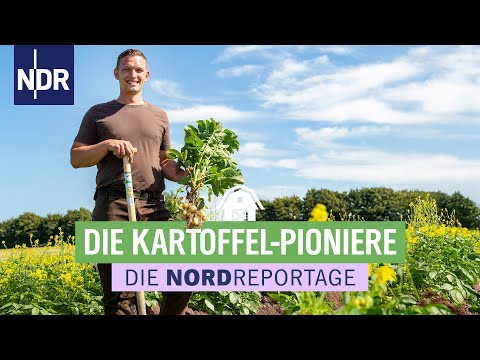 Kartoffeln, die perfekte Knolle - Zwischen Zucht, Labor und Acker | Die Nordreportage | NDR