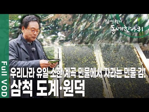 과거 5대 공업 도시! 청정한 바다와 아름다운 산세를 품고 있는 강원도 삼척 도계·원덕 [김영철의 동네 한 바퀴 KBS 20191130 방송]