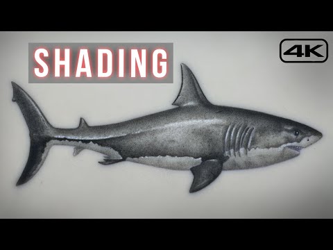 Tattoo Tutorial - How to Tattoo for Beginners - Shark 🦈