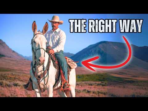 How to Saddle a Mule (it's different than a horse)