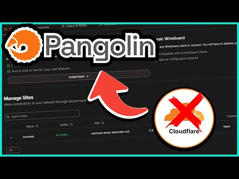 Better Than Cloudflare Tunnels? - Pangolin Guide