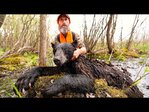 Hunt & Eat Delicious Wild Black Bears