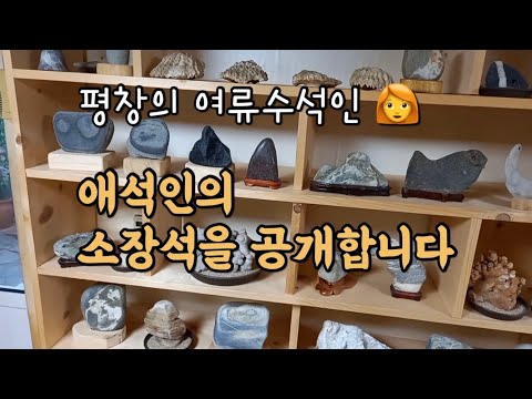 [수석 소개] 평창 여성 수석인의 소장석을 공개합니다.