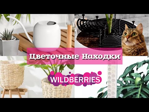 Интересные Цветочные Находки с Вайлдберис!!! Онлайн Шоппинг