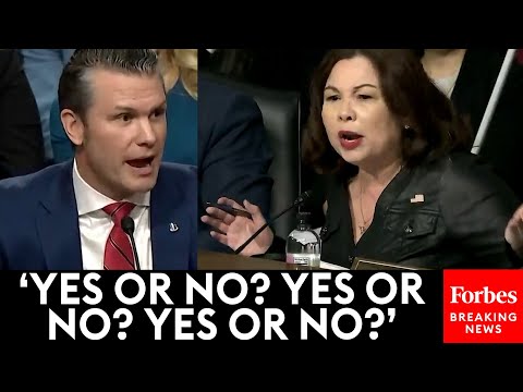 Tammy Duckworth Absolutely Torches Pete Hegseth While Grilling Him About Audits
