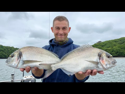 Sea Fishing UK - Fishing for Bass and Bream for food - Inshore Estuary Fishing | The Fish Locker