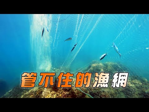 【海廢污染】管不住的漁網│海中漂流成生態殺手(我們的島 第1076集 2020-10-12)
