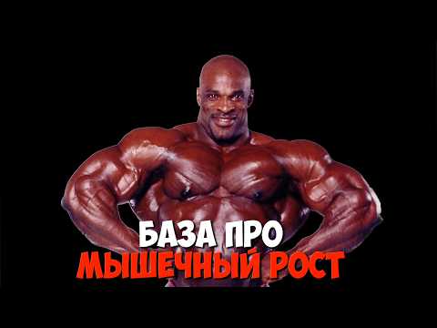 ЧЕЛОВЕК И МЫШЦЫ| БАЗОВЫЙ ГАЙД НА ФИЗУХУ И РОСТ МЫШЦ