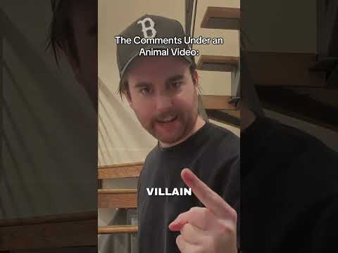 Outdoor cats are whack tho #catvideo #dogvideo #memes #top5 #comedy