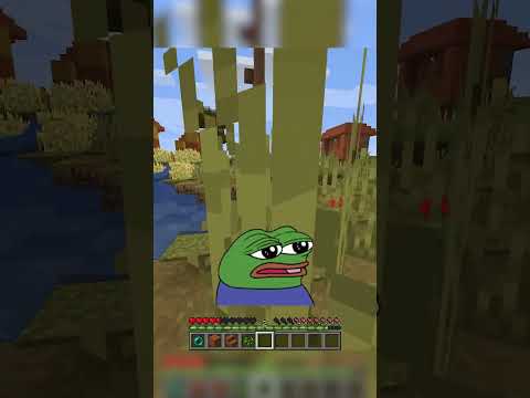 best hiding ever done #shorts #minecraft #minecraftshorts