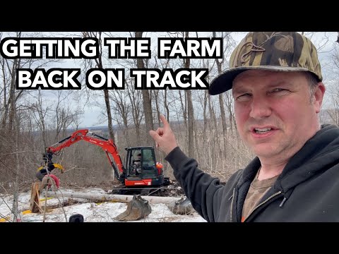 15 Days Without Power Morning Chores - Farm Vlog