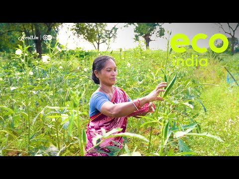 Eco India: How women in Rourkela are leading the way to food security