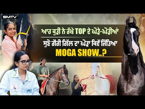 ਆਹ ਕੁੜੀ ਨੇ ਰੱਖੇ Top ਦੇ ਘੋੜੇ-ਘੋੜੀਆਂ, ਸੁਣੋ ਗੈਰੀ ਗਿੱਲ ਦਾ ਘੋੜਾ ਕਿਵੇਂ ਜਿੱਤਿਆ Moga Show..?