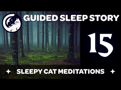Forbidden Forest & Centaur Magic - Harry Potter Inspired Sleep Story ('Yer a Wizard') Ep 15/16