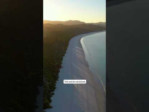 Whitehaven Beach hits different 🙌🏼