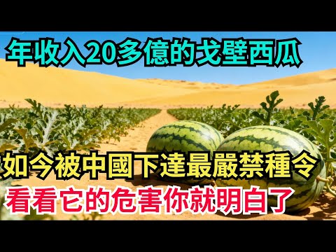 年收入20多億的"戈壁西瓜"，如今被中國下達最嚴禁種令，看看它的危害你就明白了！#科技強國#中國智造#國之脊樑#科技攻關故事