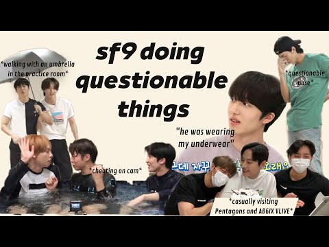sf9 doing questionable things