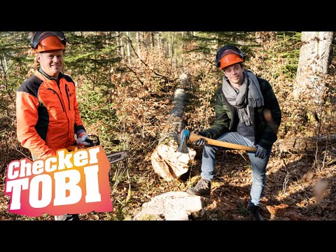 Der Holz-Check | Reportage für Kinder | Checker Tobi