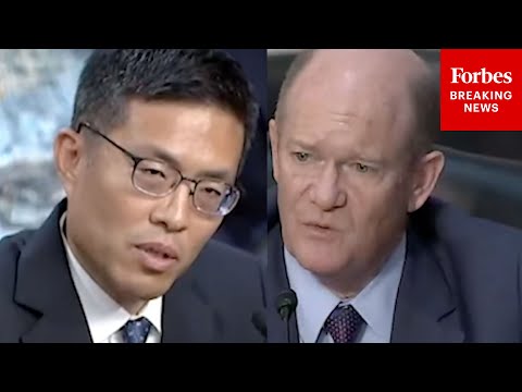 'Why Do You Think... That Pres. Trump Wanted To Meet With You Personally?': Coons Grills Judge Nom
