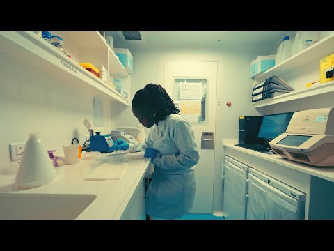 Scientists have created a revolutionary mosquito that is incapable of transmitting malaria