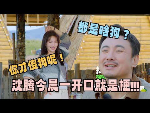 【ENG SUB】没人能治金晨的嘴，和沈腾一个敢说一个敢接！调侃王安宇宋亚轩一开口就是段子！#现在就出发 #沈腾 #金晨 #王牌对王牌 #现在就出发s2