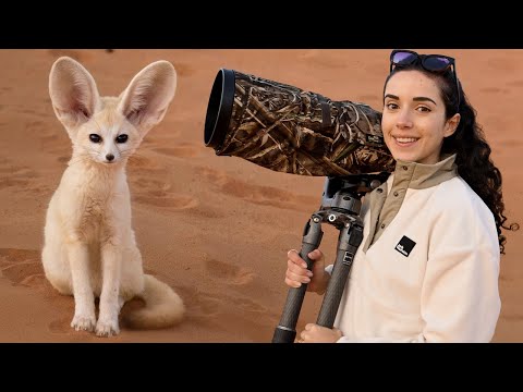 I Crossed the Sahara Desert to Find the World’s Smallest Wild Fox