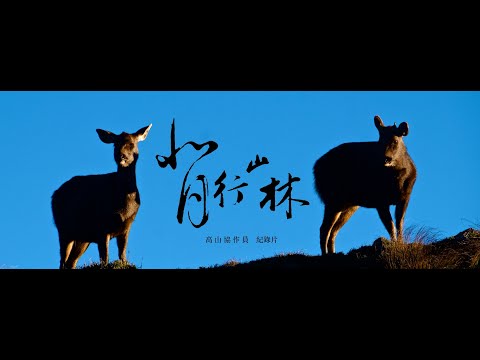 背行山林 『高山協作員』紀錄片