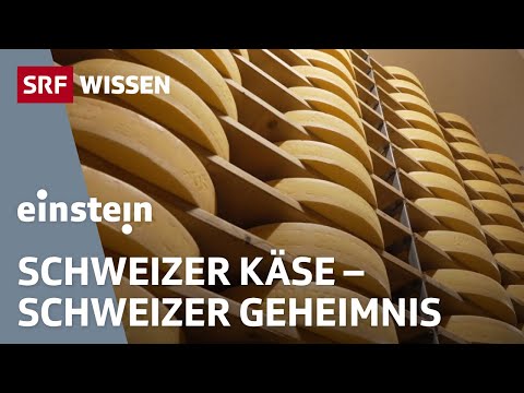 Schweizer Käse: Was macht Gruyère und Co. so einzigartig? | Einstein | SRF Wissen
