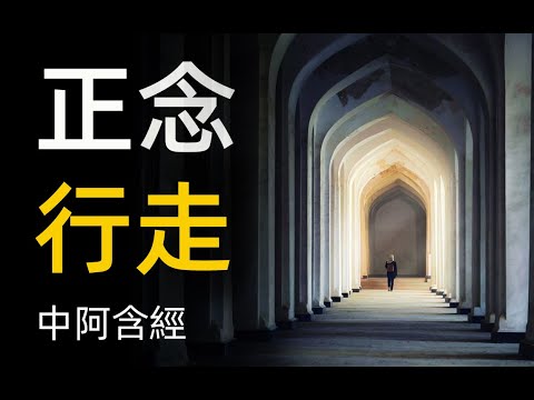 中阿含經講解01 正念行走 正念冥想 禪定禪修四念處 四念住 生活中保持正念 念處經 長部 大念處經