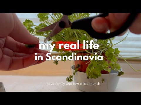 This is not the fake life for the camera, this is how I really live in Denmark 🍲🧁|vlog 6 🇩🇰