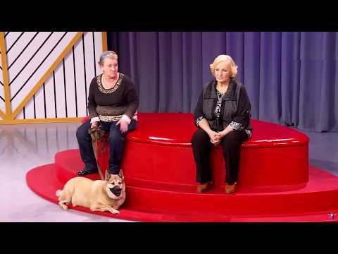 Кошки Блохиной. Выпуск М/Ж от 21.12.2016