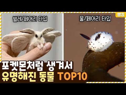 진화도 해!?!? 포켓몬같은 특징 때문에 난리난 실제 동물 TOP10
