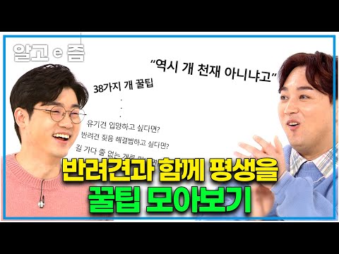 🚨반려견 꿀팁 모아보기🚨 개와 더불어 살아가기 위해  알아야 할 꿀팁│설채현의 꿀팁 모아보기│ 반려인이라면 필수 시청│세상에 나쁜 개는 없다│알고e즘
