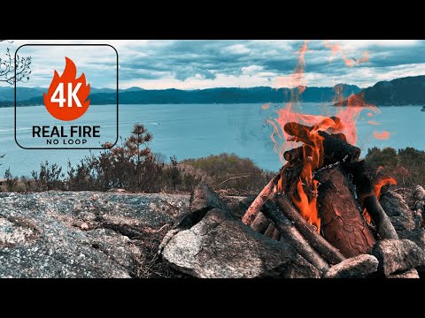 4K Cozy Coastal Campfire | Real Organic Fire with Sea, Fjords, Birds, Boats & Nature Sounds 🔥