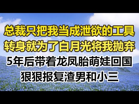 总裁只把我当成泄欲的工具，转身就为了白月光将我抛弃，5年后带着龙凤胎萌娃回国，狠狠报复渣男和小三#幸福敲門 #為人處世 #生活經驗 #情感故事