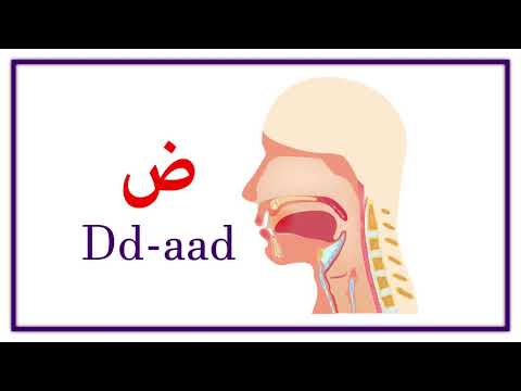 Arabic Alphabet Pronunciation: All About Arabic Pronunciation 