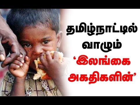 Sri Lanka Refugees Camp in TamilNadu - IBC Tamil