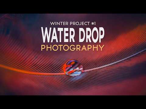 The Winter Studio Week 1 - Capturing Stunning Macro Photography of Water Droplets on Feathers