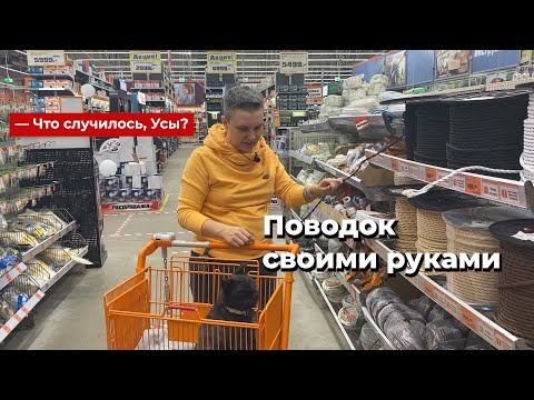 Что случилось, Усы? Поводок своими руками