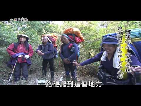 【MIT台灣誌 #475】阿溪縱走 水漾森林~追溯阿里山森林 百年光影_1080p