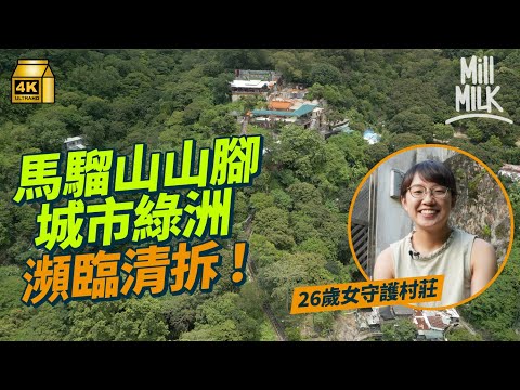 #MM｜26歲女守護石籬隱世城市綠洲 石梨坑村只剩近70人 曾是葵涌區新鮮本地菜重鎮 今日瀕臨拆村 失去綠化帶令野生動物被逼走入民居：生活中的可能性正在消失｜#700萬種生活 #4K