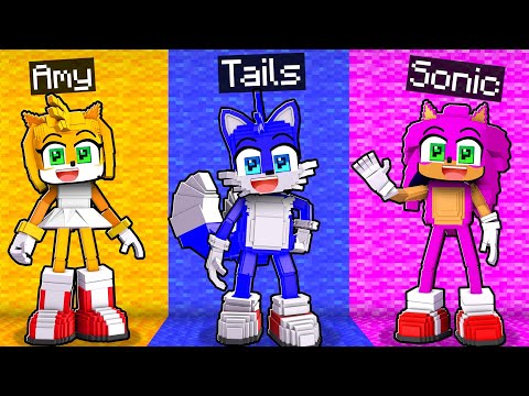 We SWAPPED COLORS In Minecraft