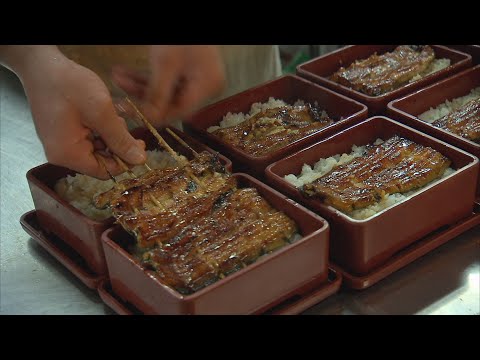 【永續漁業】消失的鰻魚｜近四十年數量減少95％ (我們的島 第753集 2014-04-14)