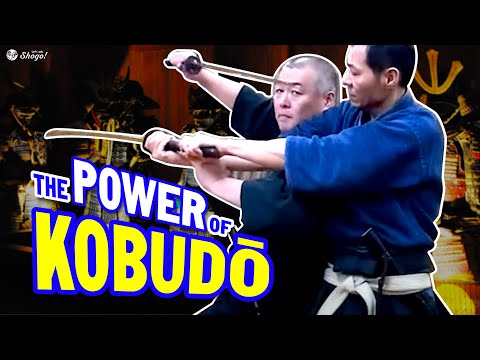 How Modern Budō Are NO MATCH For Kobudō (Ancient Martial Arts) @-asayamaichidenkai-161