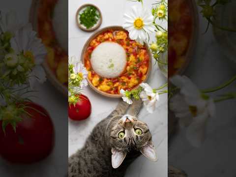 tomato & egg stir-fry