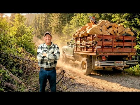 MASSIVE Tamarack Tree on Dangerous Hill | Cable Rigging FAIL?