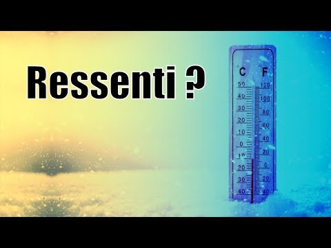 La « température ressentie » : une arnaque ? ❄️🌡️🥶