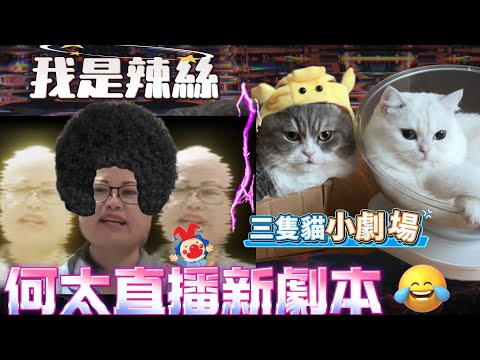 何太新劇本用假acc屈日更頻道搵佢合作🤣直播中何伯攔住何太￼岌嚟岌去超核突！|三隻貓模仿何太口音讀留言感謝環節 林冬瓜戴帽 白雪雪又學佢！creamy好肚餓📢