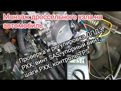 Throttle assembly installation, checking and adjustment of TPS, IAC, SAS screw, TPS check.