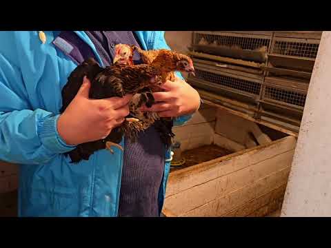 Переселение и подготовка новой квартиры для матери Сараев🙏